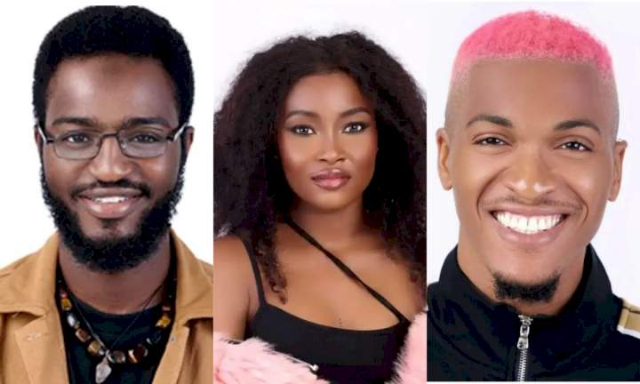 BBNaija: How Nigerians Voted Groovy, Khalid, Ilebaye