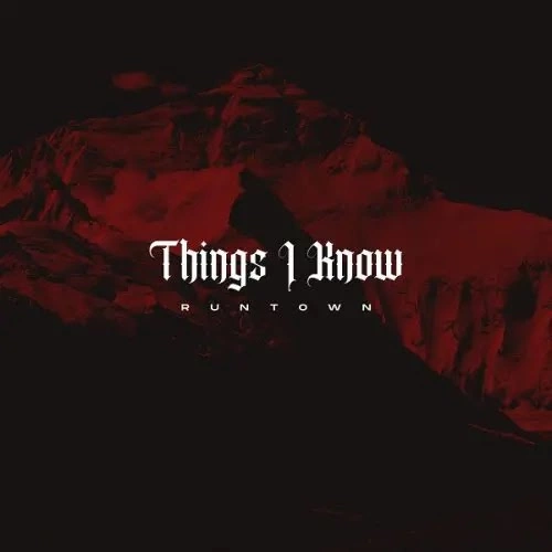 Things I Know by Runtown